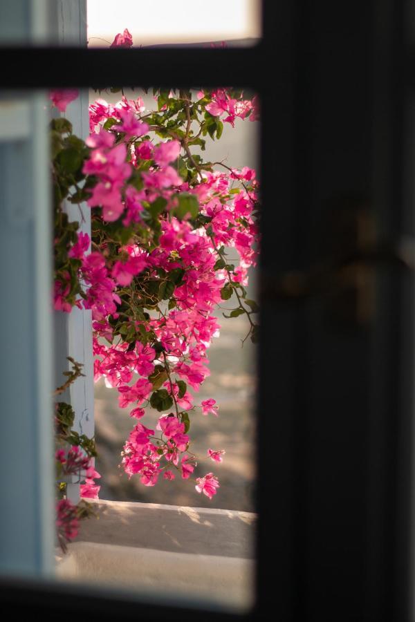 Villa Nina, Dreamy Little Cycladic Home In Amorgos Ormos Aigialis Extérieur photo