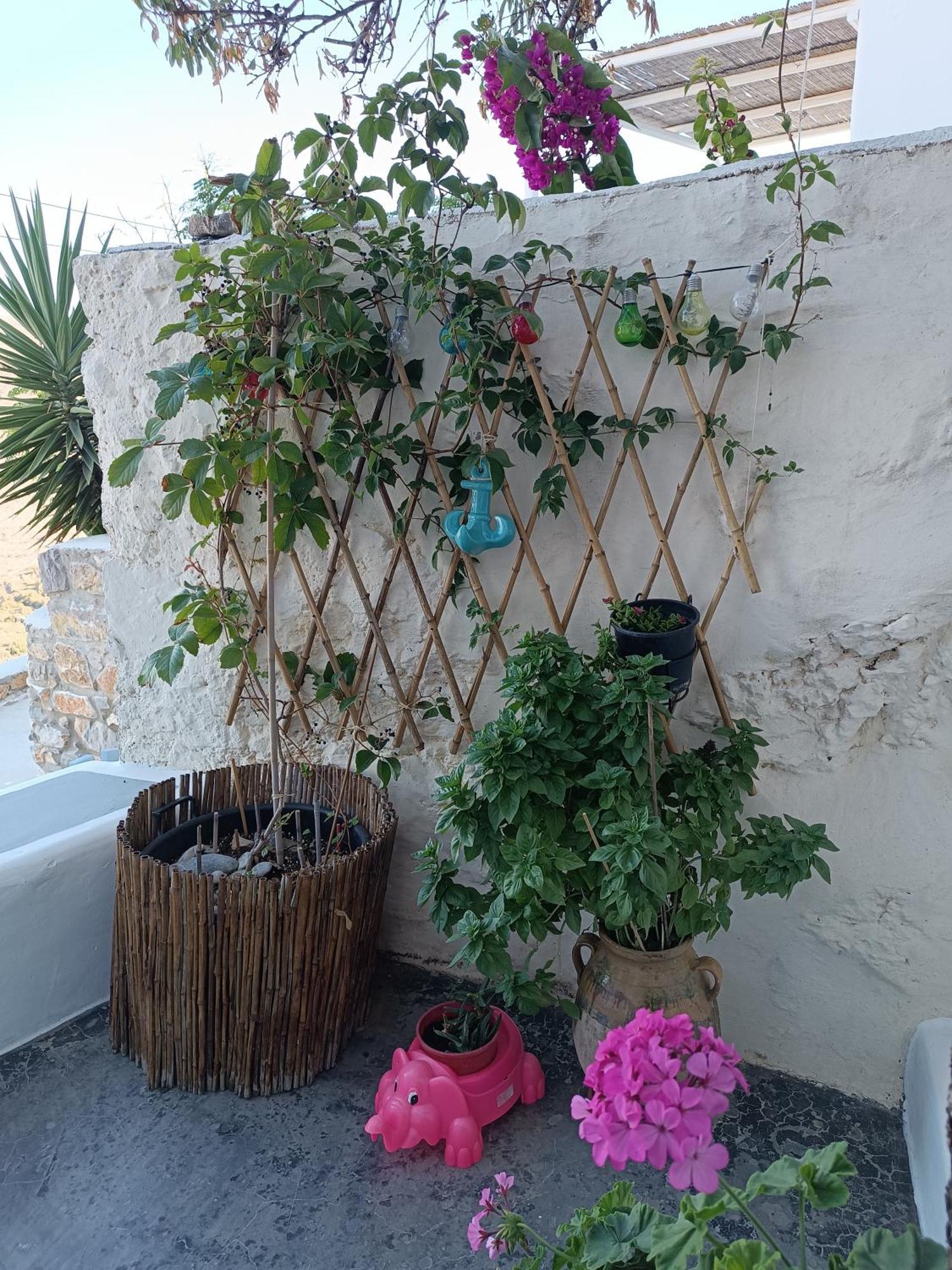 Villa Nina, Dreamy Little Cycladic Home In Amorgos Ormos Aigialis Extérieur photo